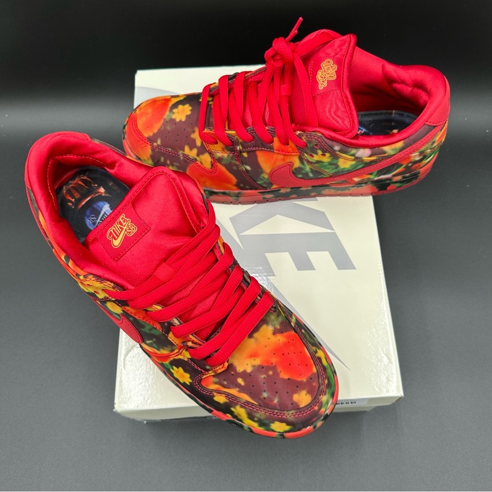 NWT 2024 NIKE SB DUNK LOW PRO WIZARD OF OZ QS DEADSTOCK OG ALL MENS 10.5 - Picture 2 of 16